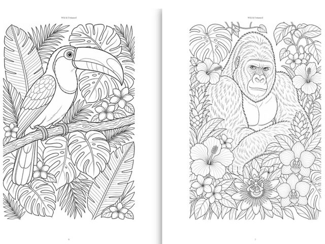 Inside pages of a BookMasher coloring book