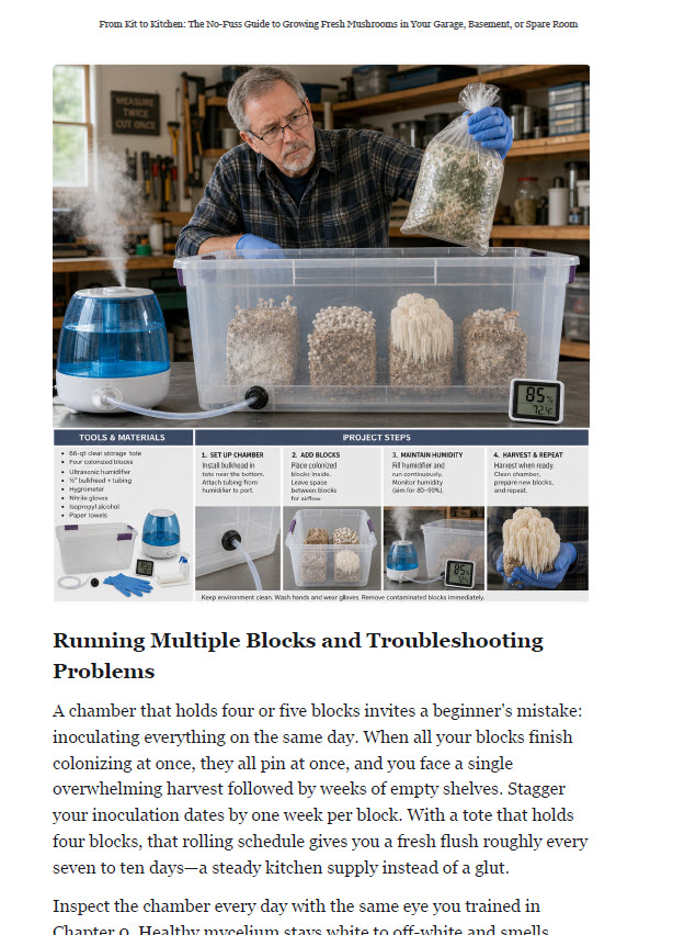 Guide book page pairing instructions with a matching image